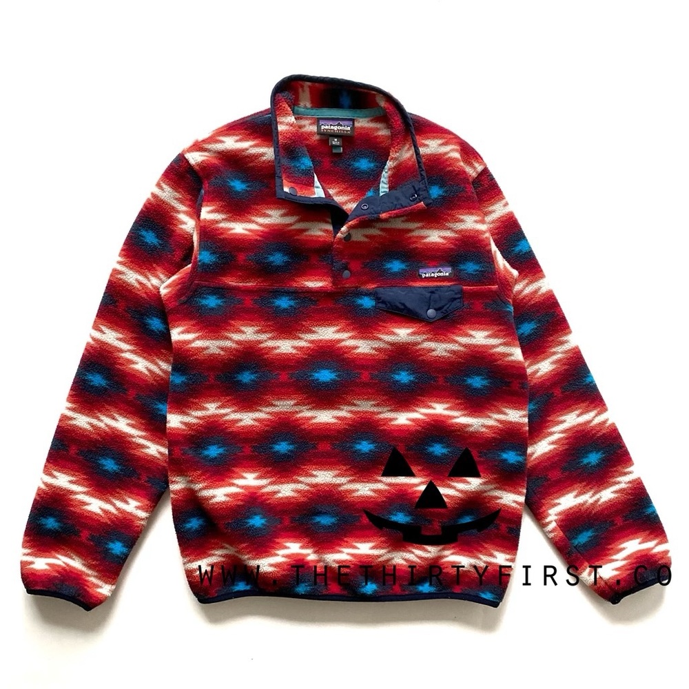 Patagonia Fall ‘15 Wild Desert Snap-T Synchilla